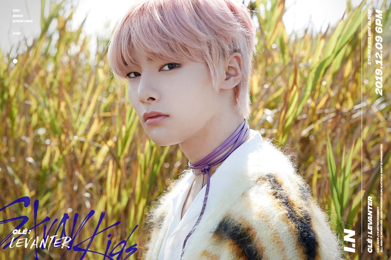 Stray Kids : Notice